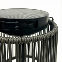 Zoluna Solar Floor Lamp LUCA-zwart