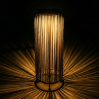 Zoluna Solar Floor Lamp LUCA Grande - zwart-