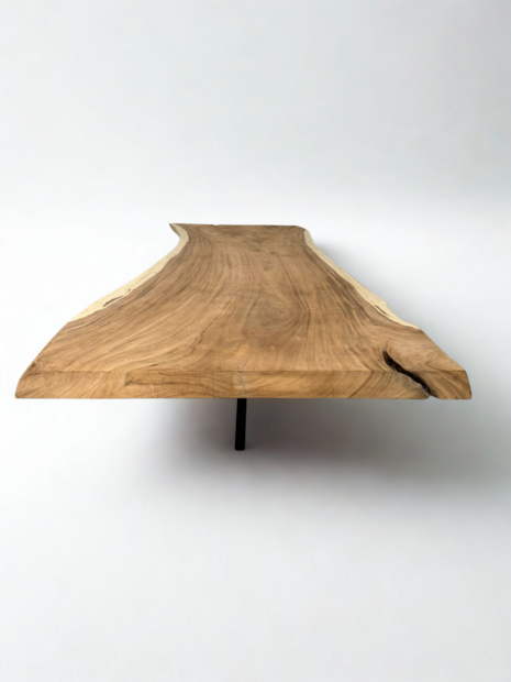 Boomstamtafel 300x90cm