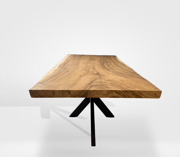 Boomstamtafel 200x100 cm